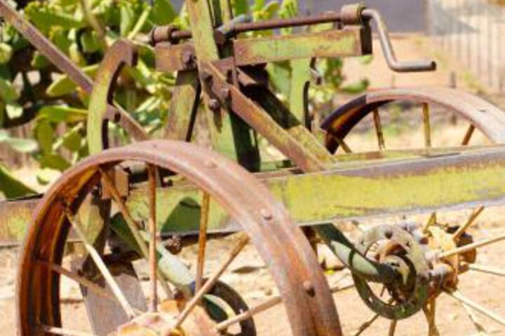 Desert Dew Guest House - thumb 5