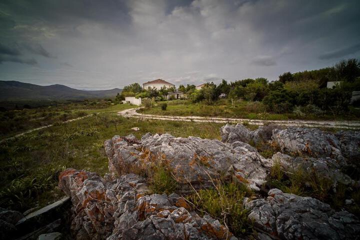 Farm 215 Private Nature Reserve - thumb 6