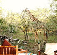 Green Kruger Lodge - Accommodation Africa
