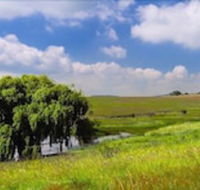 Forellenhof Guest Farm - Accommodation Africa