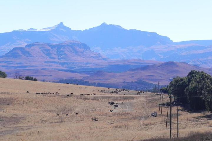 J & B Lodge - thumb 5