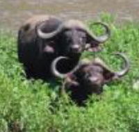 Hennies Rest - Accommodation Africa