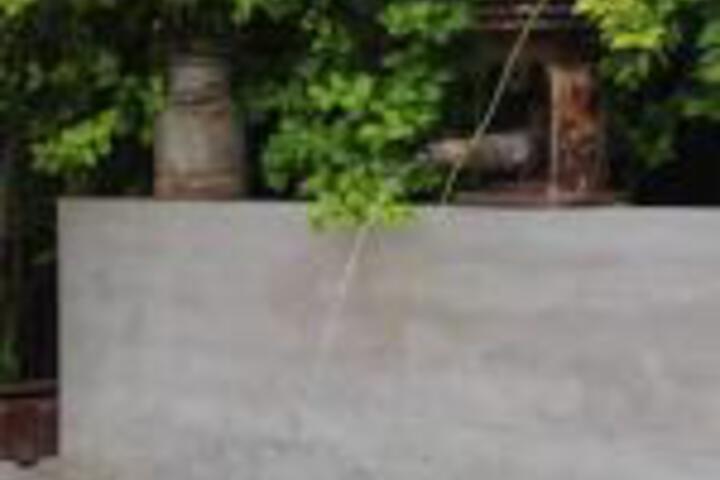 Olive Tree B & B - thumb 0