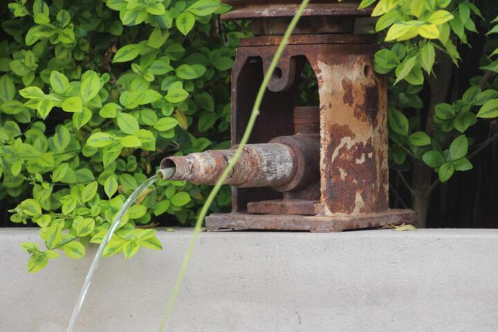 Olive Tree B & B - thumb 5