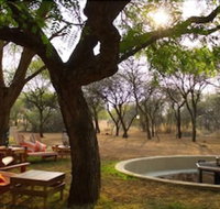 Foreva Wild - Tourism Africa