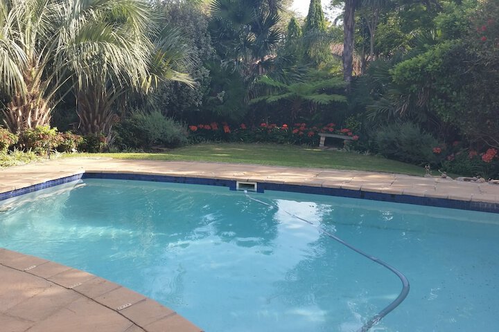 Royal Ridge Guest House And Apartments - thumb 4