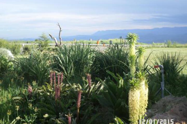 The Phatt Chef Roadside Diner & B & B - thumb 4