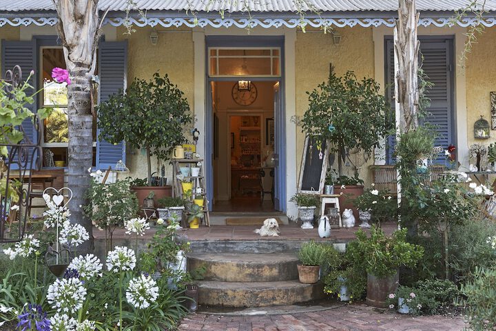 Yellow Aloe Guesthouse - thumb 5