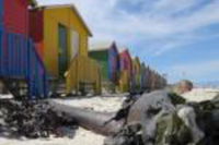 Muizenberg Western-cape Accommodation Africa