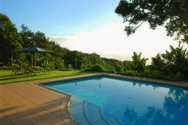 Albatross Guesthouse - thumb 0