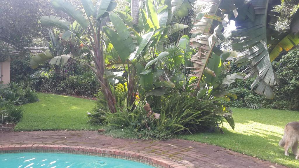 Khululeka Lodge - thumb 6