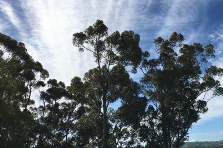 Morton Manor - thumb 2