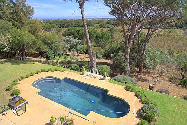 Morton Manor - thumb 7