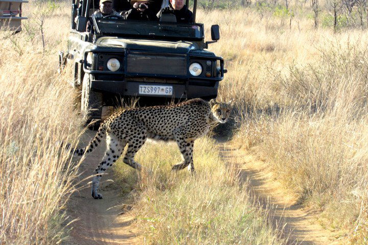57 Waterberg Lodge - thumb 2