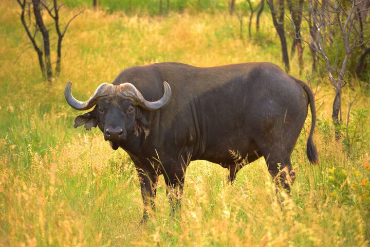 57 Waterberg Lodge - thumb 4