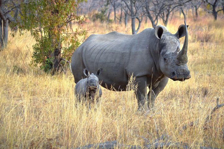 57 Waterberg Lodge - thumb 6