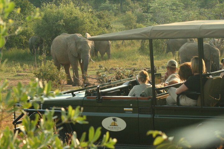 Makweti Safari Lodge - thumb 5
