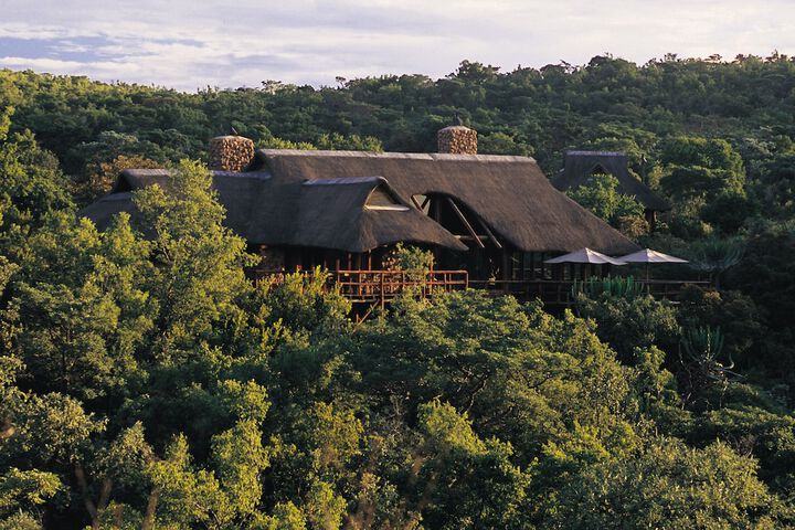 Makweti Safari Lodge - thumb 7