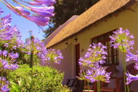 Rosedale Organic Farm BB