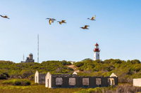 Cape Town Breakaways