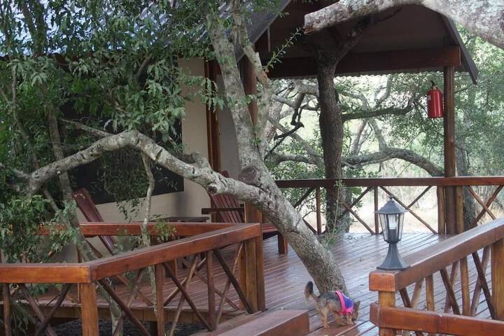 Lion Tree Top Lodge - thumb 7