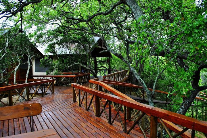 Lion Tree Top Lodge - thumb 2