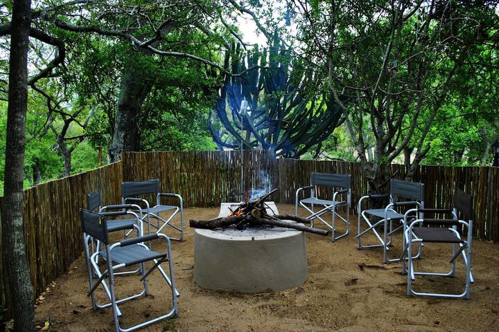 Lion Tree Top Lodge - thumb 5