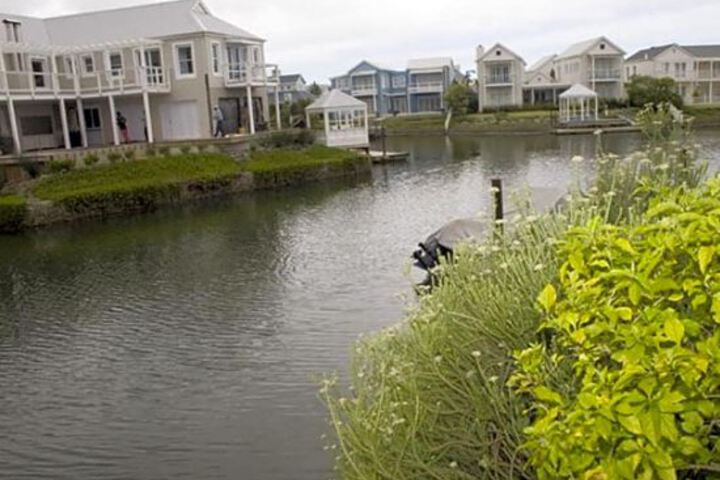 38 Crab Claw - thumb 0