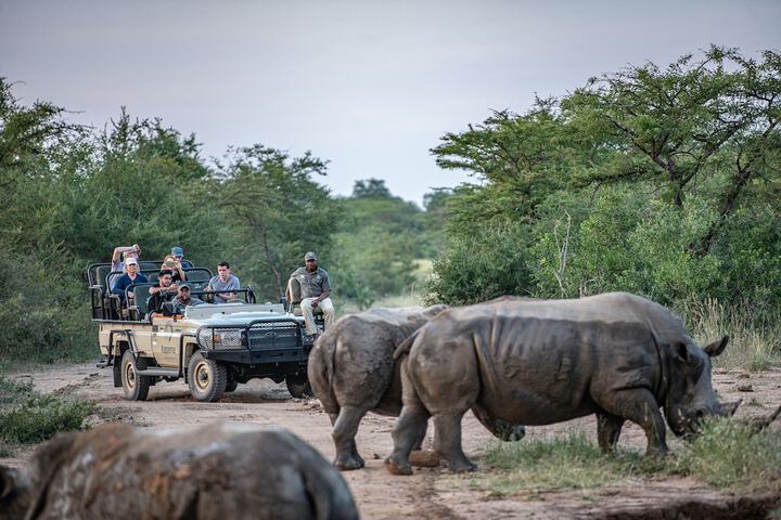 Kapama Buffalo Camp - thumb 7