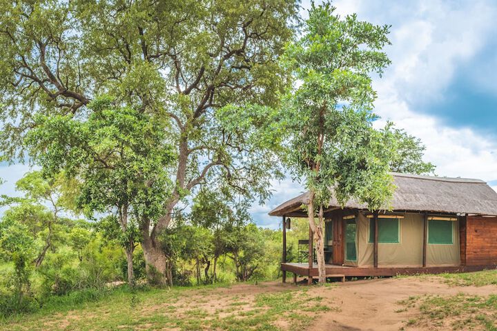 Shindzela Tented Safari Camp - thumb 7