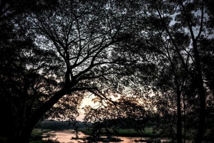 Rio Dos Elefantes River Camp - thumb 5