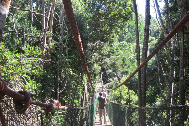 Treehouse Cottage - thumb 1