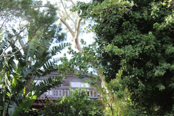 Treehouse Cottage - thumb 0