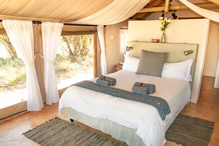 B'sorah Luxury Tented Camp - thumb 7