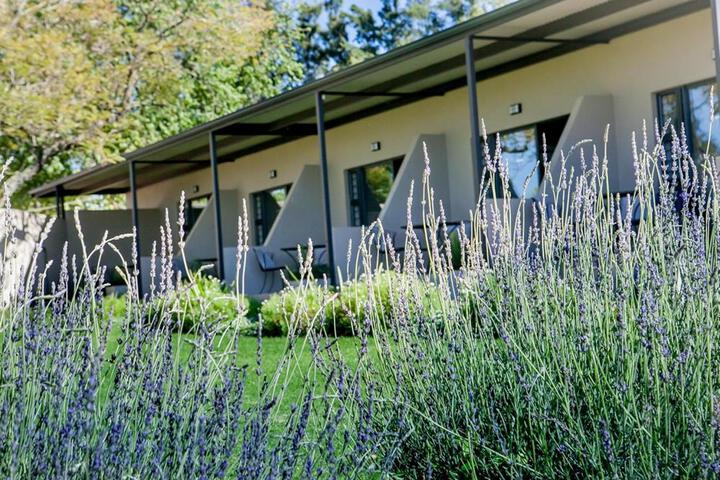 Bona Vista Selfcatering Accommodation - thumb 5