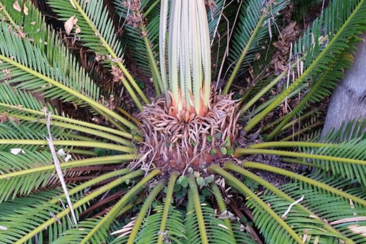 Six Valk Avenue Guest House - thumb 5