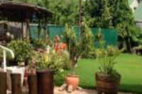 Asboom / Ashtree Guesthouse