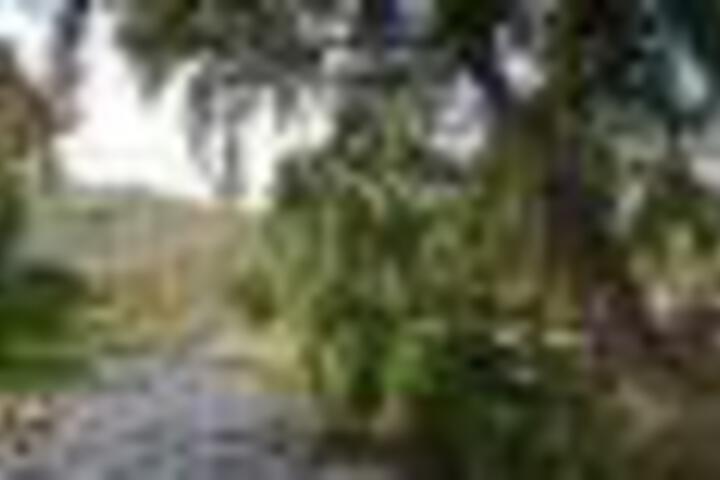 Cango Retreat - thumb 3