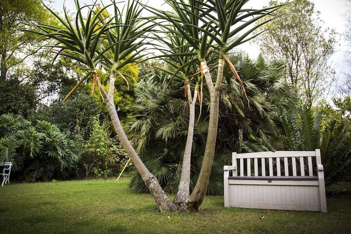 Sunbird Guest House - thumb 5