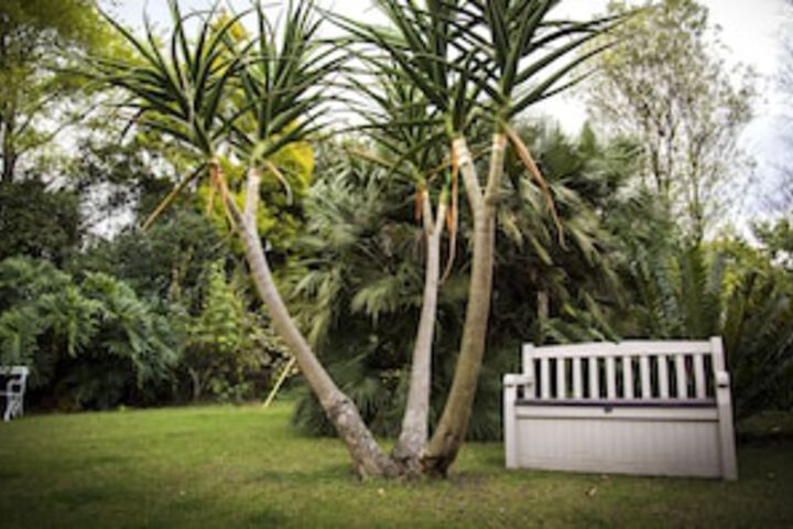 Sunbird Guest House - thumb 0