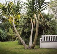 Sunbird Guest House - Accommodation Africa