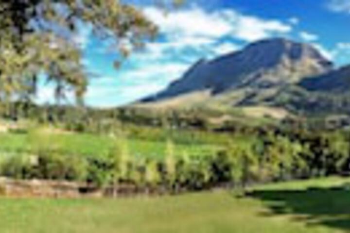 Le Pommier Wine Estate - thumb 0