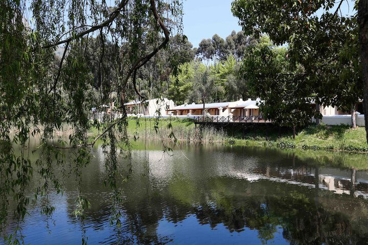 Le Pommier Wine Estate - thumb 7