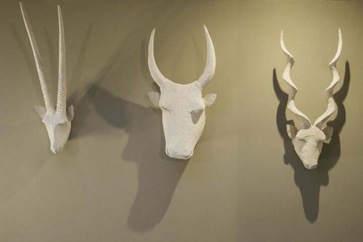 The House Quarters - thumb 4