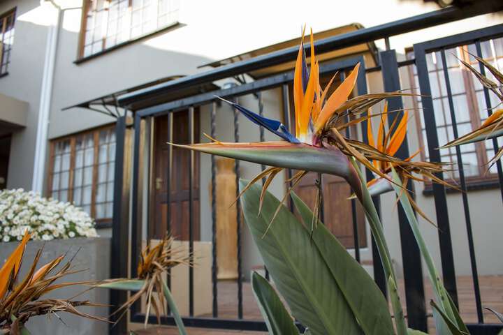 Ruth Avenue Guest House - thumb 7