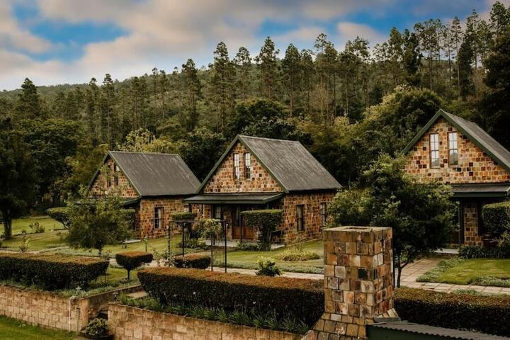 Swartvlei Equestrian Estate - thumb 4