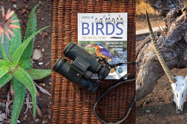 Antares Bush Camp & Safaris - thumb 1