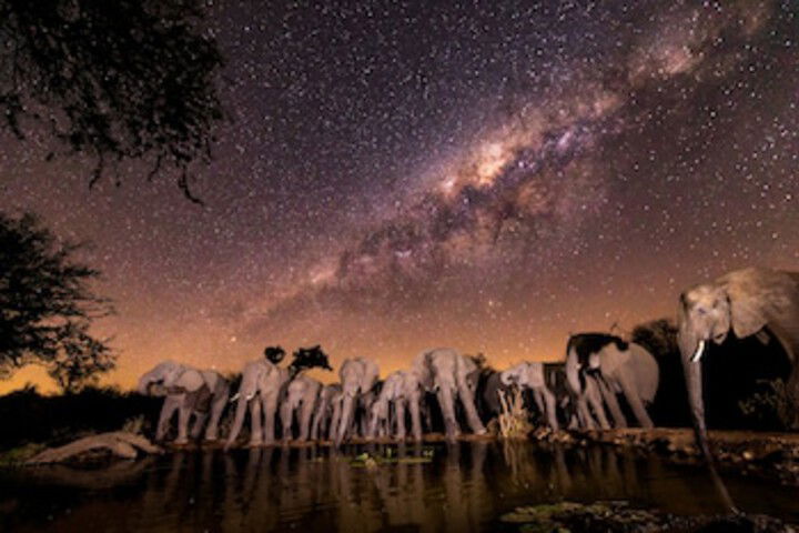 Antares Bush Camp & Safaris - thumb 0