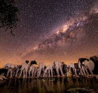 Antares Bush Camp  Safaris - Accommodation Africa