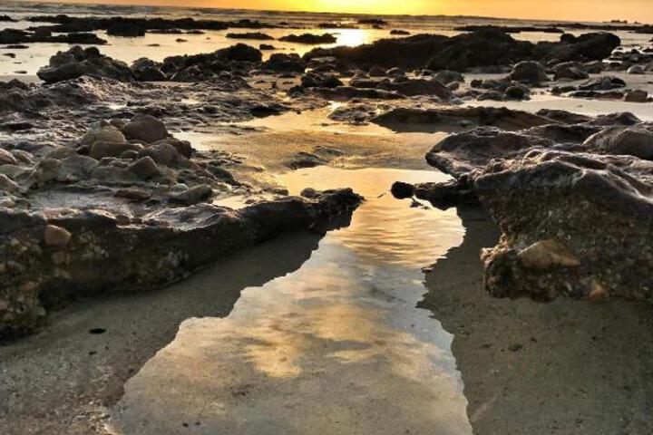 Summerseas 54 - thumb 6